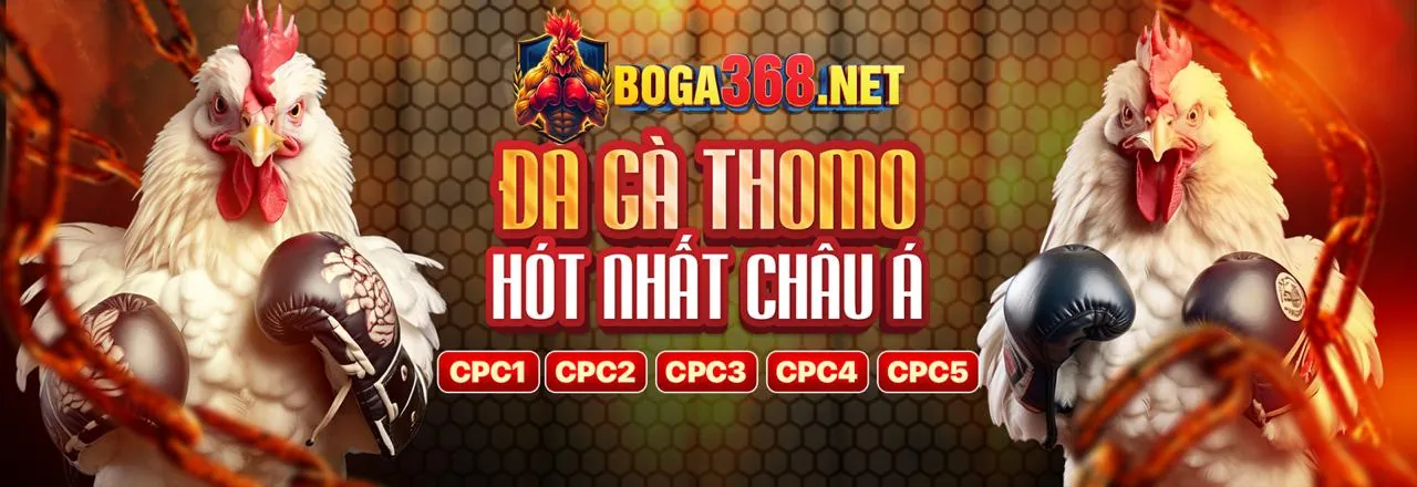 Đá Gà Trực Tiếp NW88
