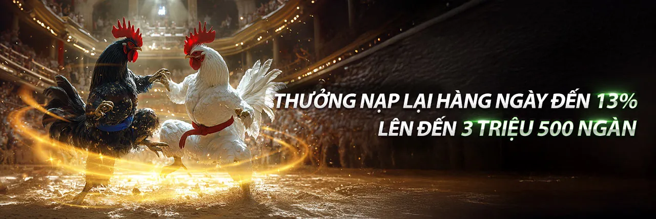 Sân vận động với trận đấu bóng đá sôi động, thể hiện cá cược thể thao trực tuyến tại NW88 Đá Gà